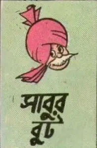 Sabur But, book cover