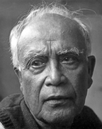 Shamsuddin Abul Kalam