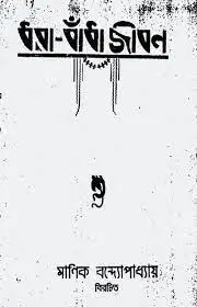 ধরাবাঁধা জীবন, বইয়ের প্রচ্ছদ