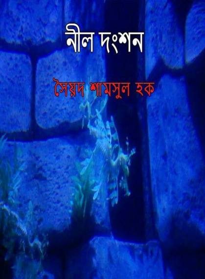 Nil Donshon by Syed Shamsul Haque