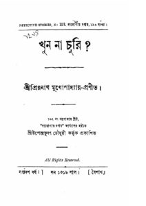 খুন না চুরি?, বইয়ের প্রচ্ছদ