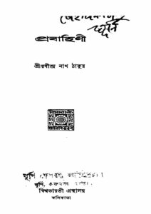 প্রবাহিণী, বইয়ের প্রচ্ছদ