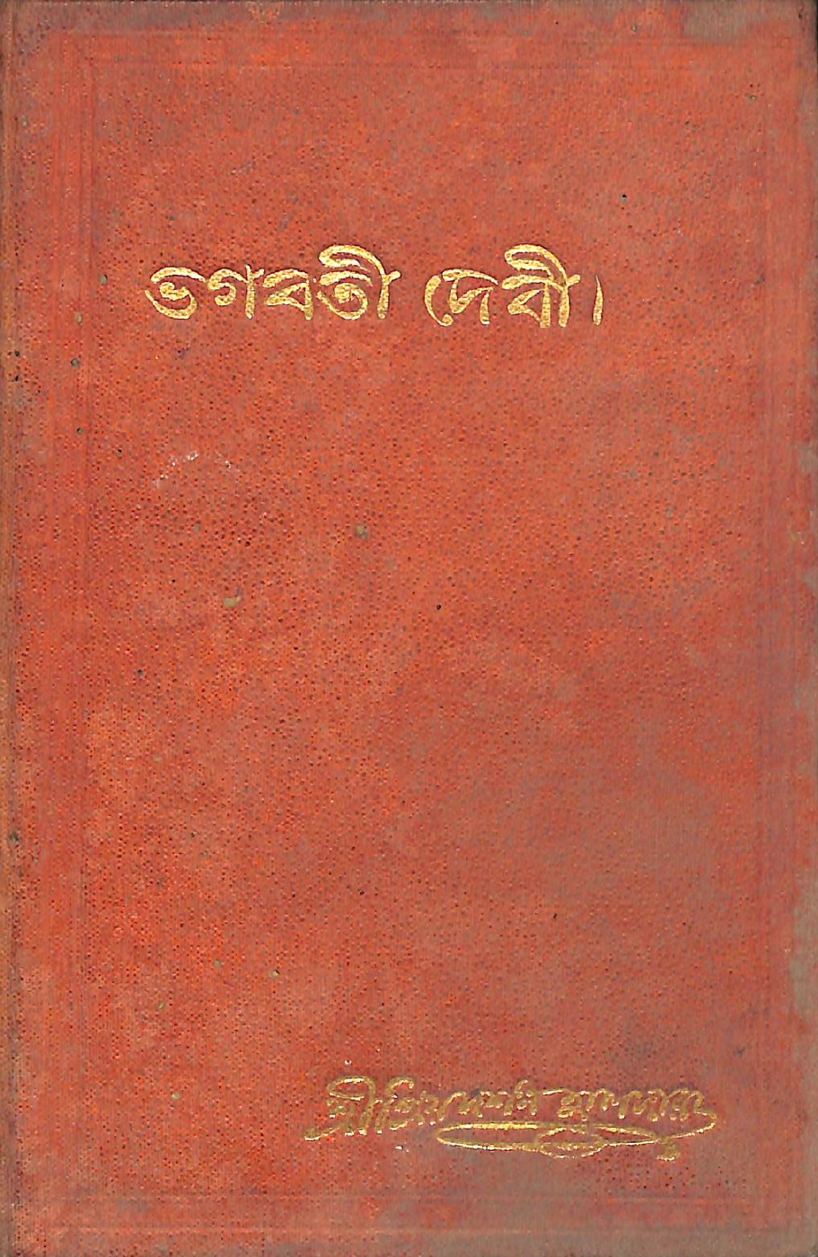বিদ্যাসাগর জননী ভগবতী দেবী বইয়ের প্রচ্ছদ