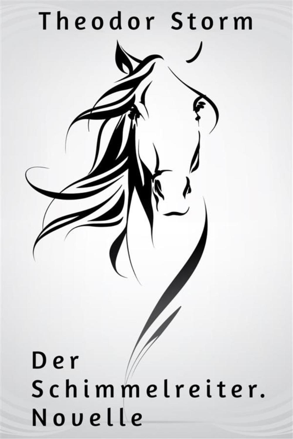 Der Schimmelreiter von Theodor Storm – Buchcover