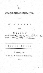 Die Wahlverwandtschaften von Johann Wolfgang von Goethe – Buchcover