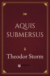 Aquis Submersus, Buchcover