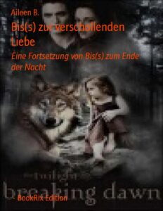 Bis(s) zur verschollenden Liebe by Aileen B., book cover