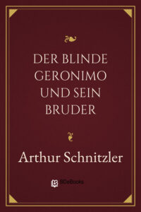 Der blinde Geronimo und sein Bruder by Arthur Schnitzler, book cover