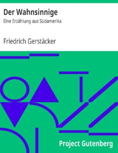 Der Wahnsinnige, Buchcover