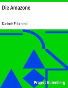Die Amazone by Kasimir Edschmid, book cover