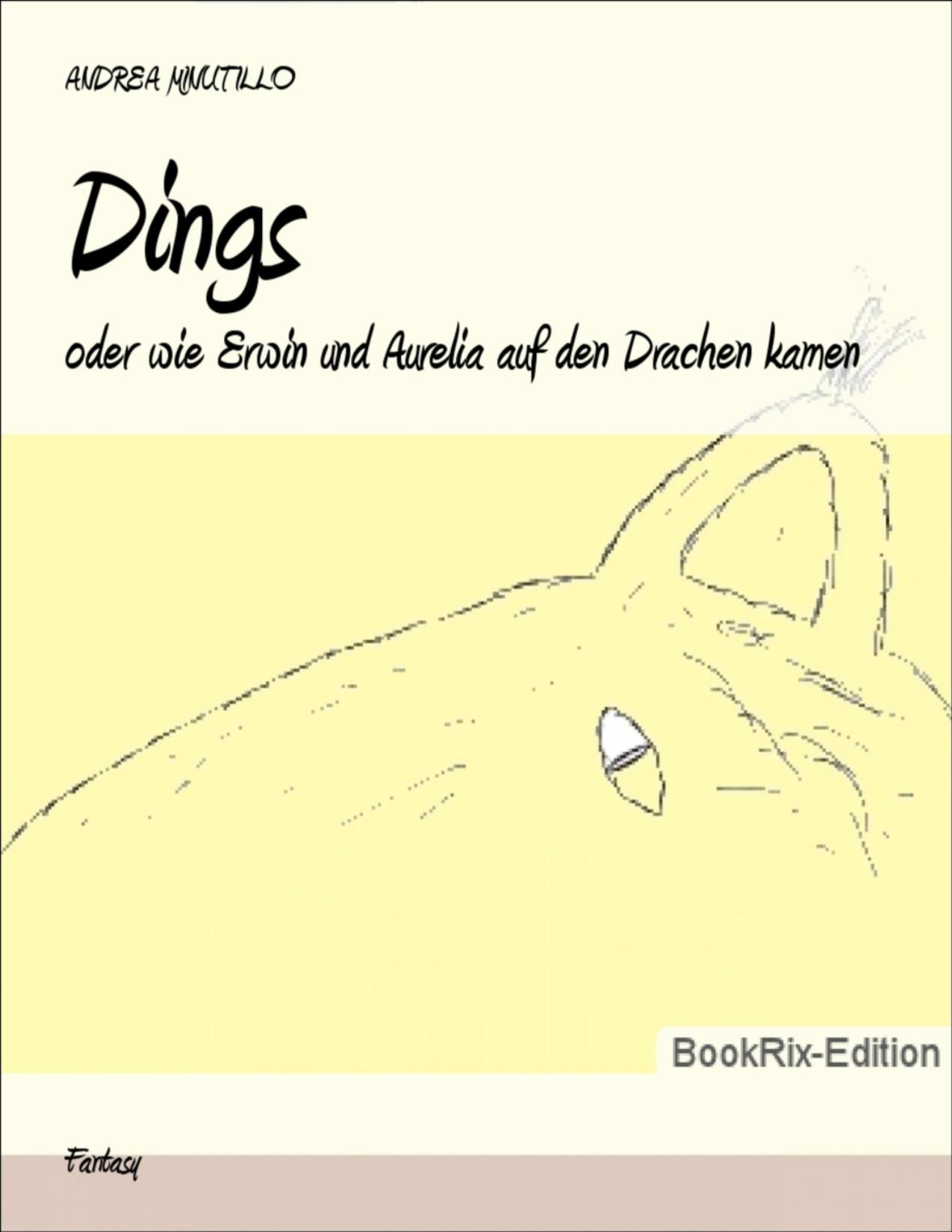 Buchcover: Dings von Andrea Minutillo