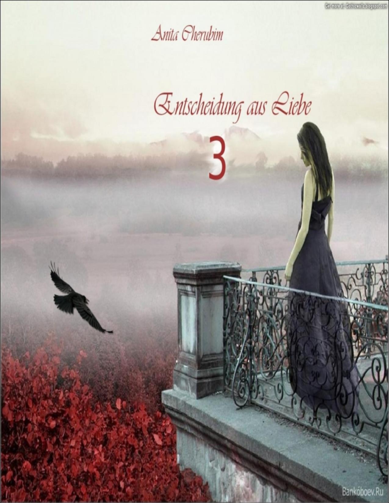 Buchcover: Entscheidung aus Liebe 3 von Any Cherubim