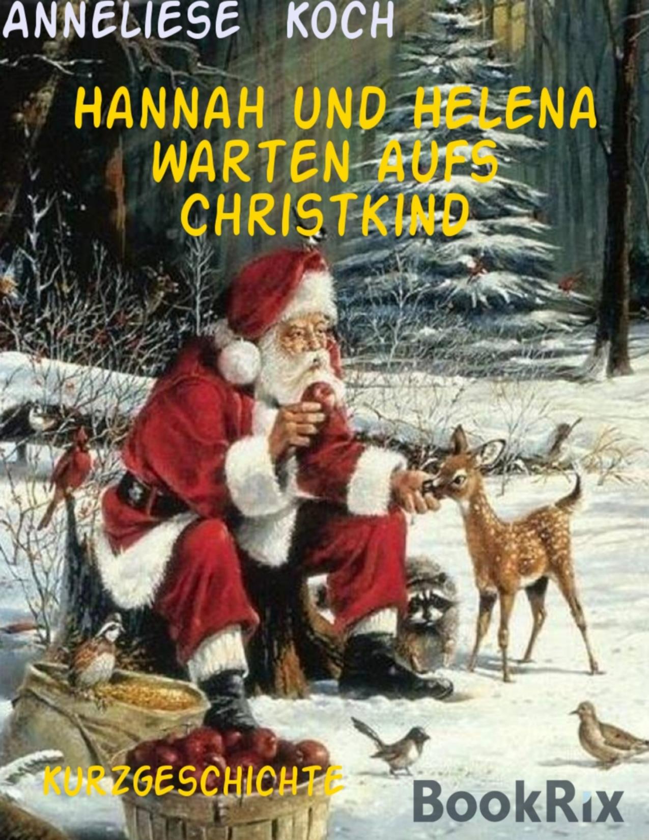 Buchcover: Hannah und Helena warten aufs Christkind von Anneliese Koch