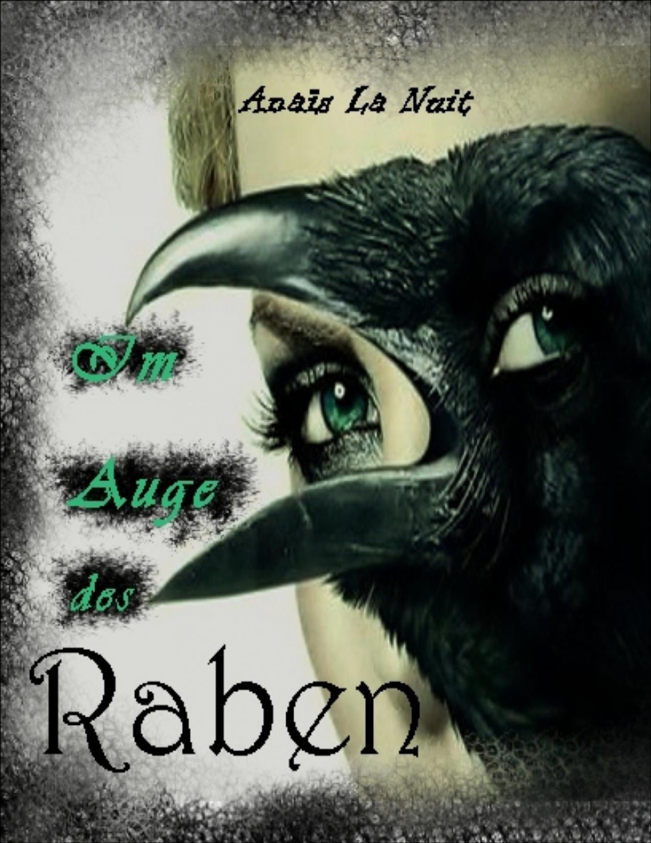 Buchcover: Im Auge des Raben von Anaïs La Nuit
