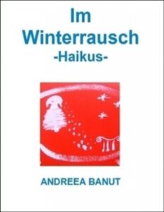 Im Winterrausch by Andreea Banut, book cover