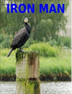 Iron Man by A.P.W. Langelaan, book cover
