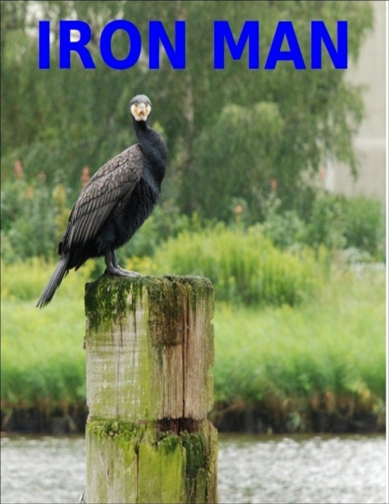 Buchcover: Iron Man von A.P.W. Langelaan