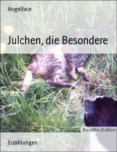 Julchen, die Besondere by Angelface, book cover