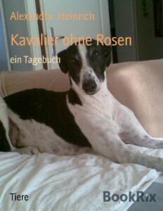 Kavalier ohne Rosen, Ein Tagebuch by Alexandra Heinrich, book cover