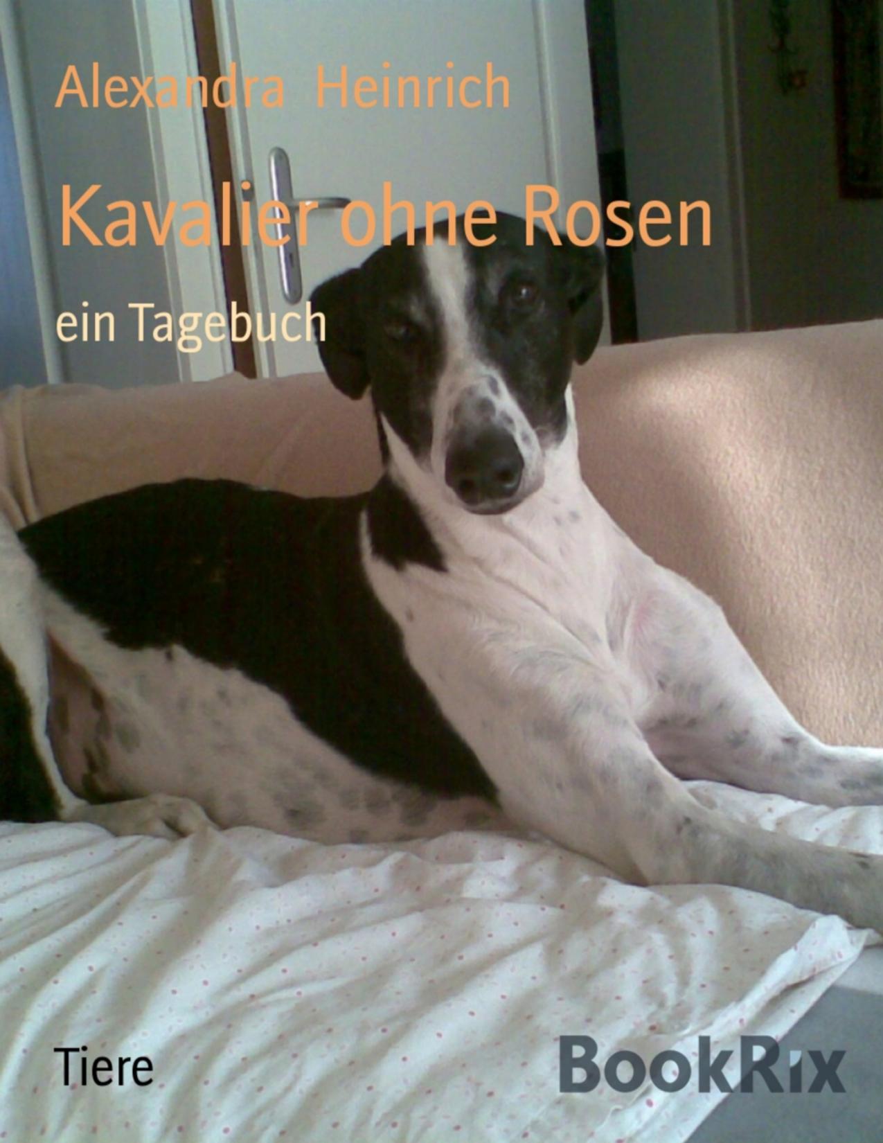 Buchcover: Kavalier ohne Rosen, Ein Tagebuch von Alexandra Heinrich