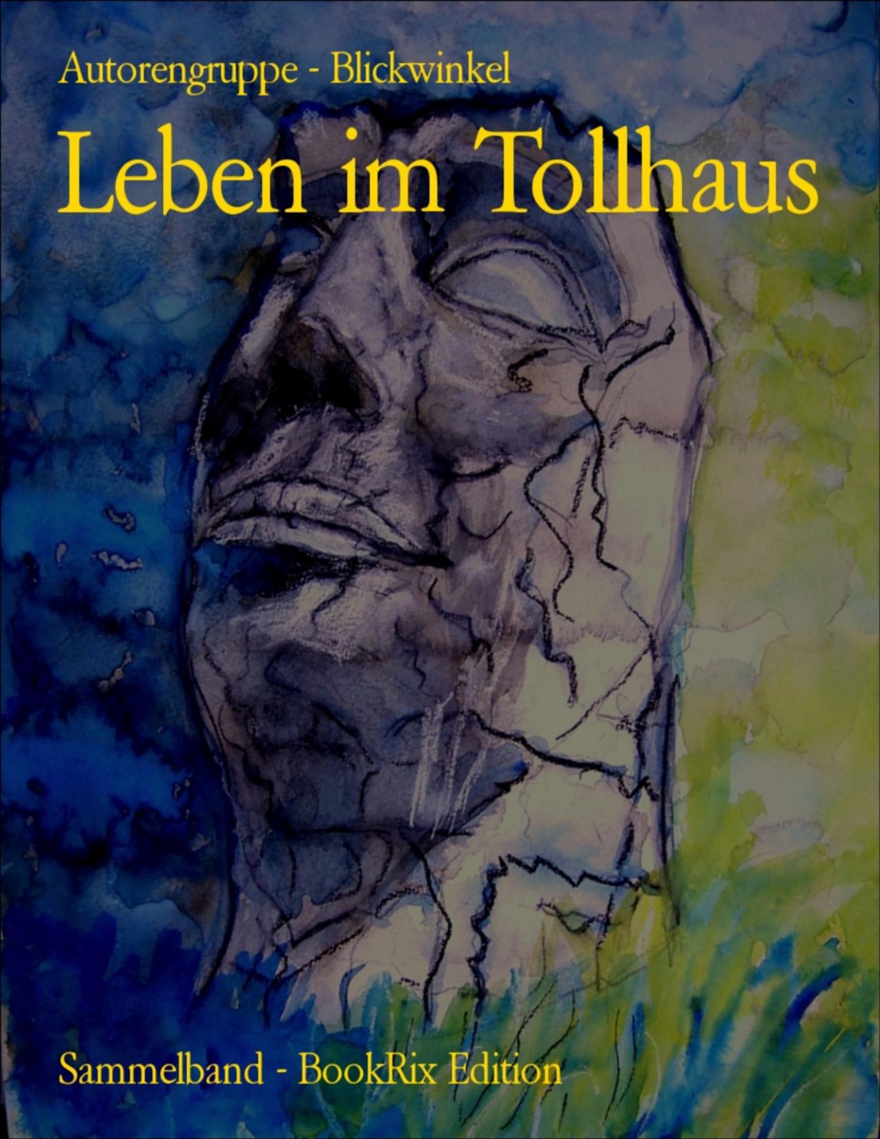 Buchcover: Leben im Tollhaus von Autorengruppe Blickwinkel