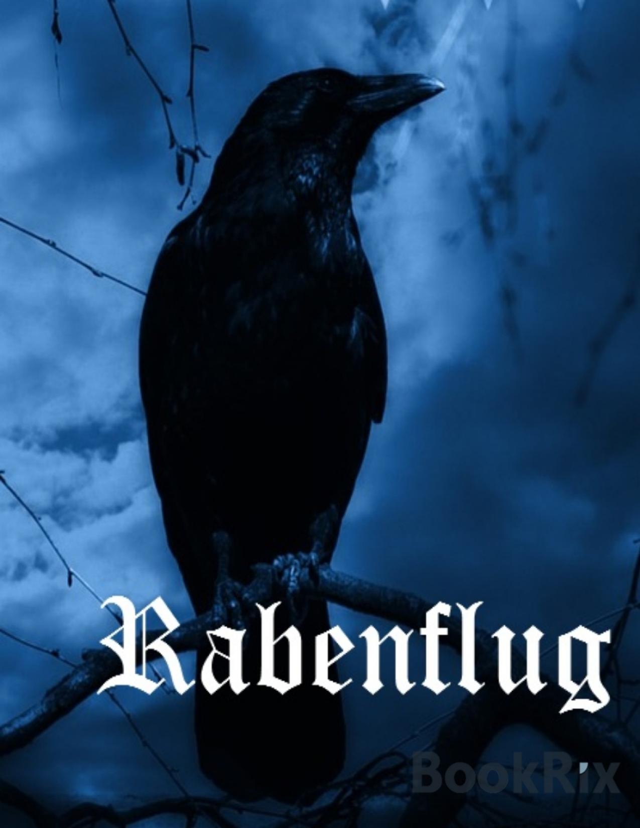 Buchcover: Rabenflug von AnnSophie Frind