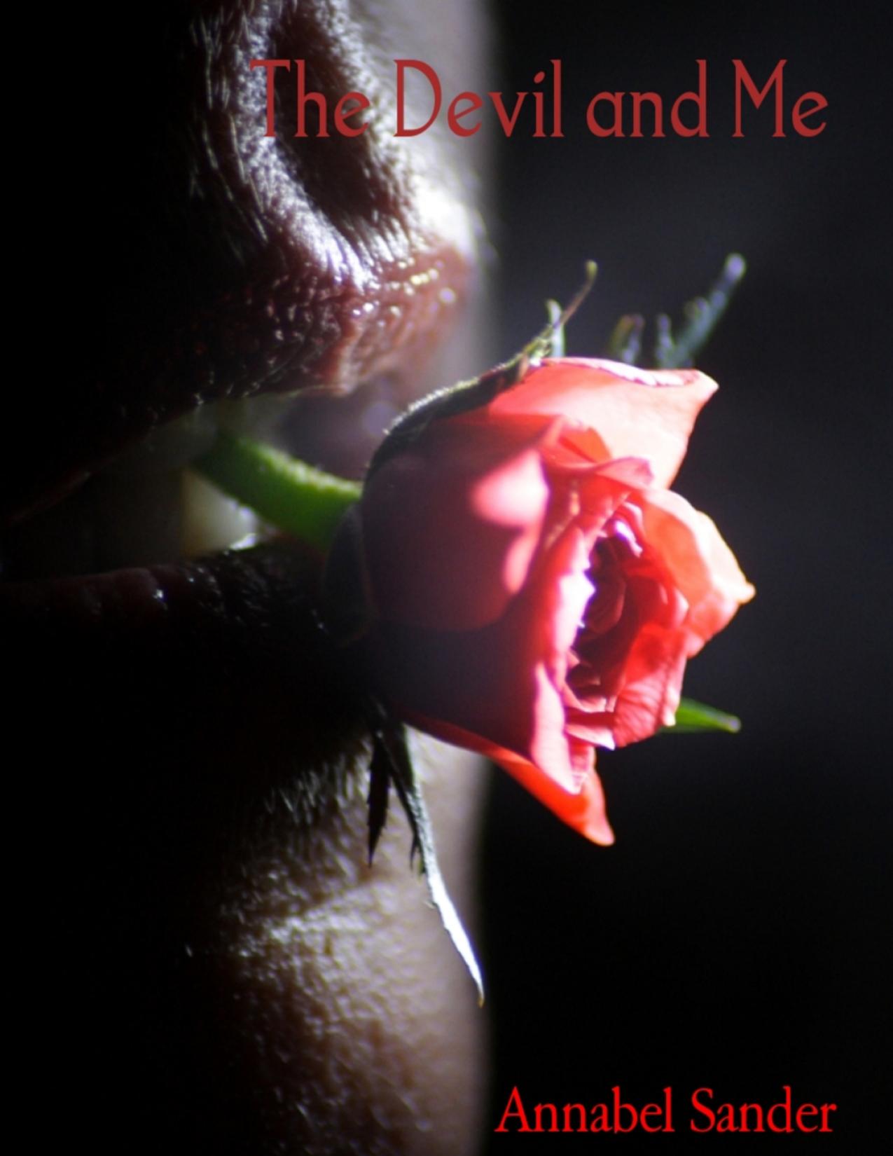 Buchcover: The Devil and Me von Annabel Sander