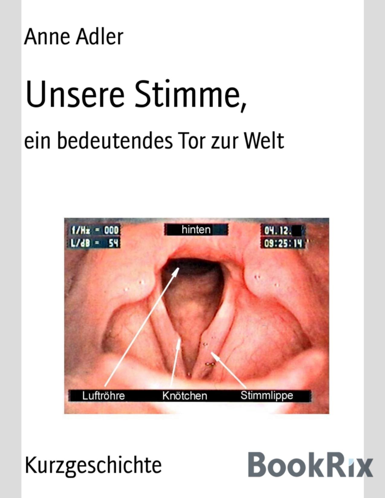 Buchcover: Unsere Stimme, ein bedeutendes Tor zur Welt von Anne Adler