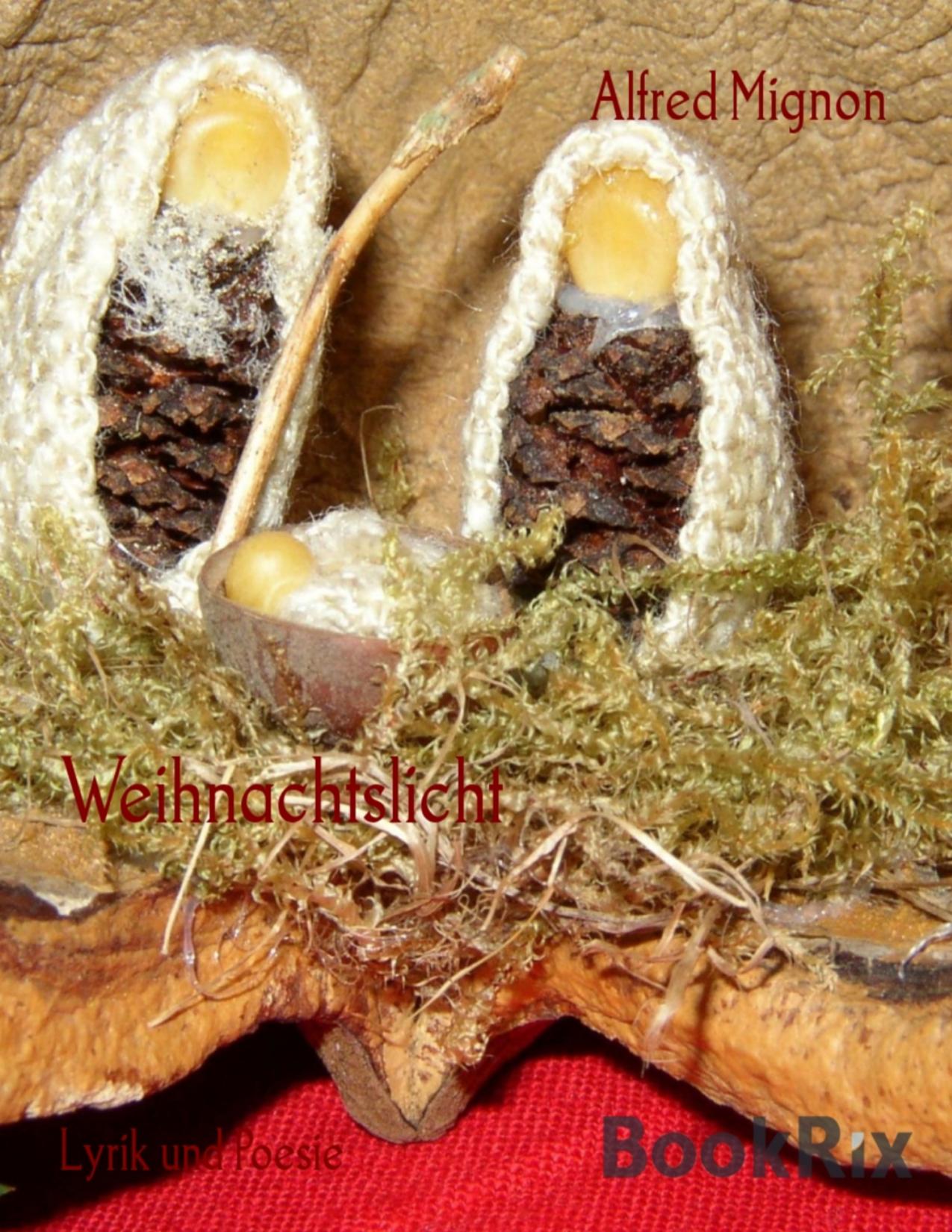 Buchcover: Weihnachtslicht von Alfred Mignon