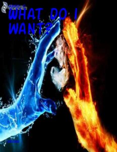 What do i want? by -Aaiko- :D, book cover