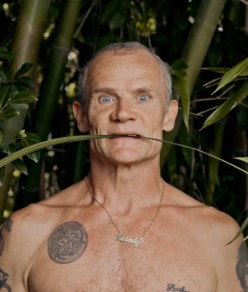 Flea
