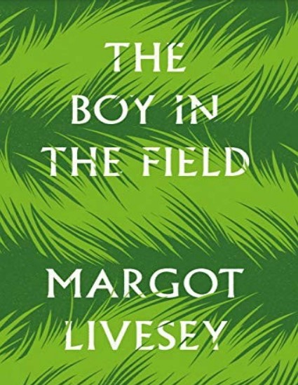 The Boy in the Field