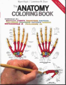 The Anatomy Coloring Book