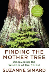 Finding the Mother Tree