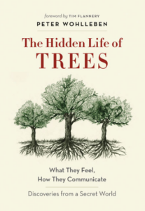 The Hidden Life of Trees