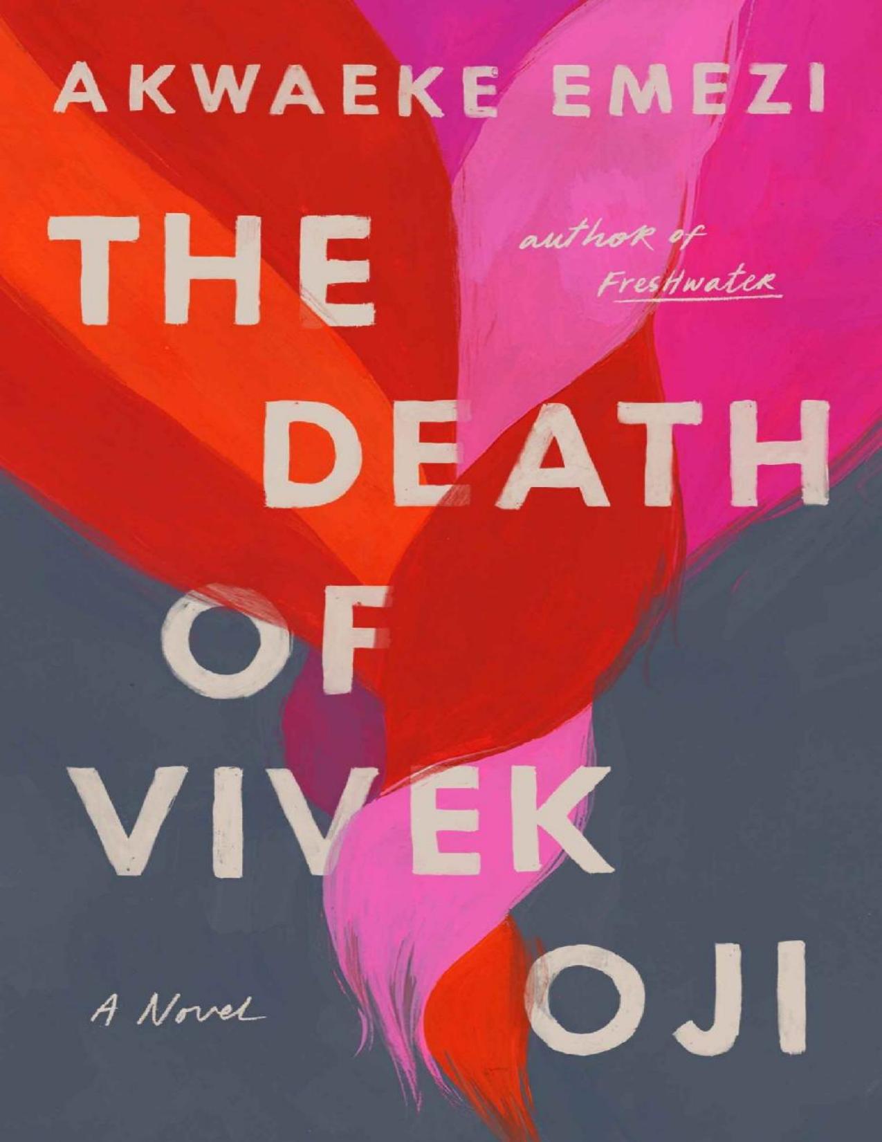 The Death of Vivek Oji