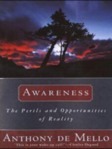 Awareness: The Perils and Opportunities of Reality