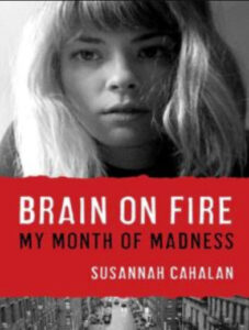 Brain on Fire My Month of Madness