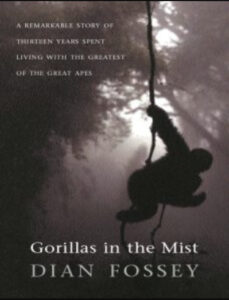 Gorillas in the Mist