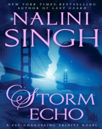 Storm Echo