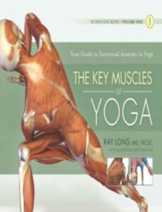 The Key Muscles of Hatha Yoga