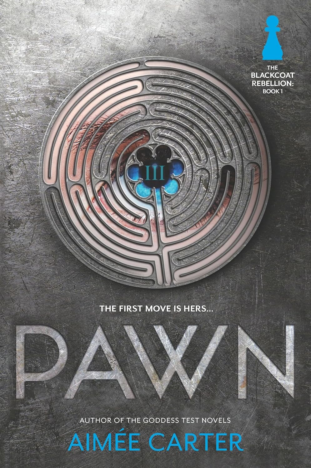 Pawn - Aimee Carter