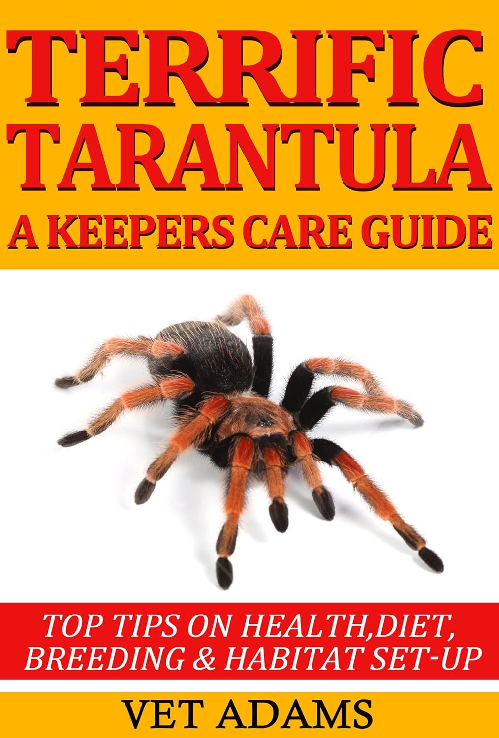 Terrific Tarantula A keepers Ca - Adams, Vet