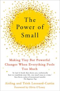 The Power of Small - Aisling Leonard-Curtin