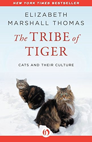 The Tribe of Tiger