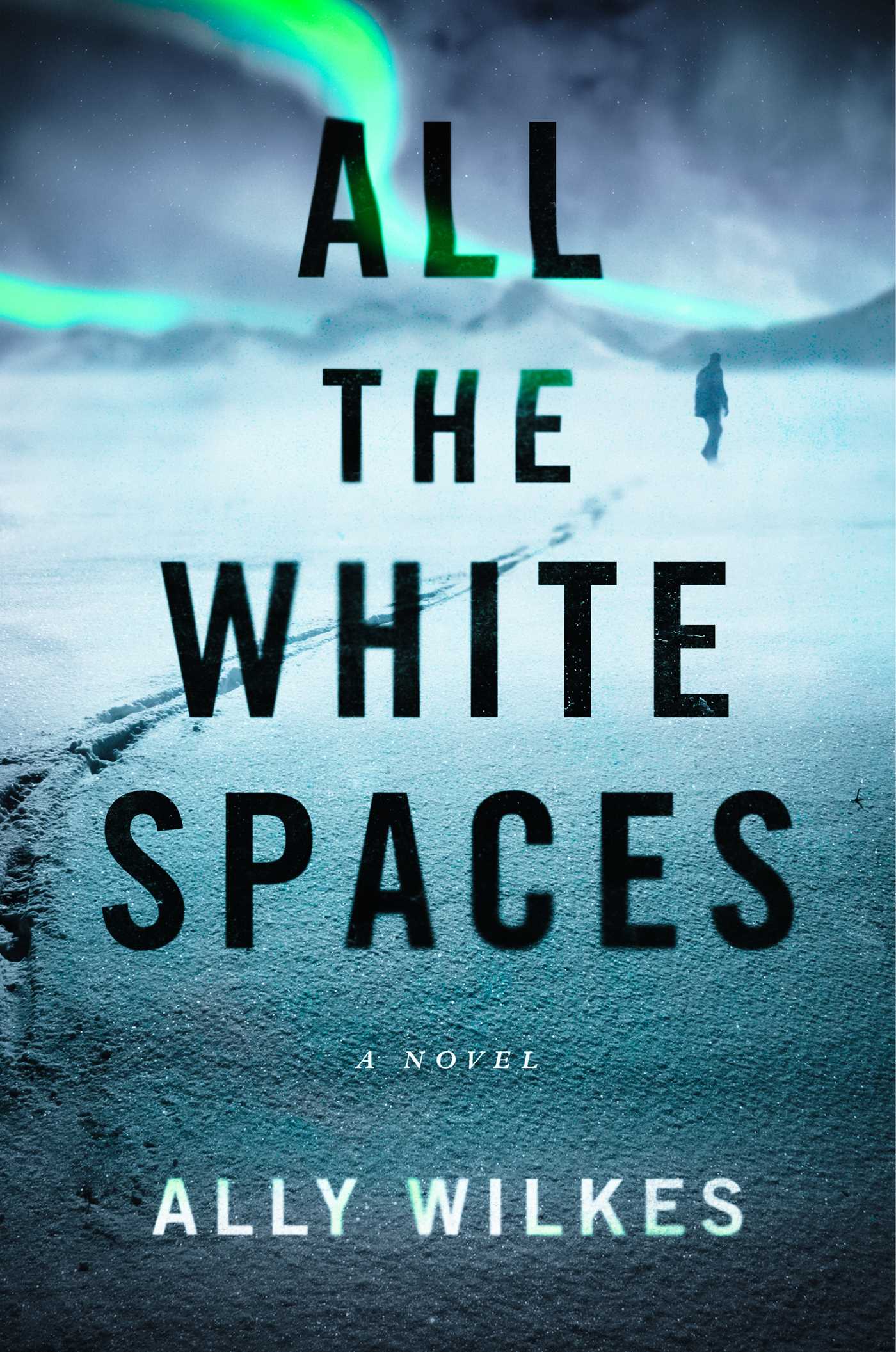 All the White Spaces - Ally Wilkes