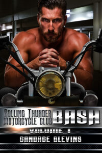 Bash: Volume I