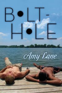 Bolt-hole - Amy Lane