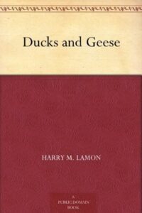 Ducks and Geese