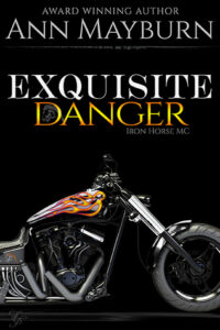 Exquisite Danger - Ann Mayburn